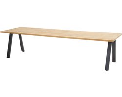 Taste Ambassador tuintafel - 300x100 cm.