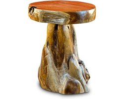 Teak bijzettafel - Houten tafel Boomstamtafel - Woonkamer inrichten - Handgemaakt uniek stuk - 40x40x50 cm - Natuurlijk