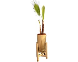 TeakOne - Teakhouten bloempot - Teak bloempot - Bloempot op standaard - Houten plantenhouder - Opvouwbare plantenstandaard - Bloempot met teak voet - Design plantenstandaard - Natuurlijke bloempot in Teak - Rustiek plantenmeubel