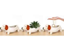 Teckel - 3 stuks - bloempot - bloembak - plantenbak - vaas - hond - teckelbloempot - wit - porselein - teckelvaas - set van 3 stuks - teckel plantenbakjes - teckel keramiek bakje - teckel sieraden bakje