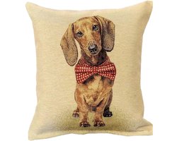 Teckel - hond - kussenhoes - kussensloop - gobelin - bruine teckel - bruin - vintage - kussen - kussens - sierkussen - sierkussenhoes - 45x45cm