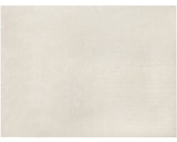 tectake® Kortpolig Vloerkleed - 200 x 290 cm - Creme - Tapijt voor Woonkamer, Slaapkamer, Eetkamer - Onderhoudsvriendelijk en Wasbaar - Antislip Ondertapijt - Allergievriendelijk - Diverse maten en kleuren