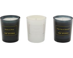 Ted Sparks - Mini Candle Gift Set - 3 geurkaarsen in prachtige geschenkverpakking