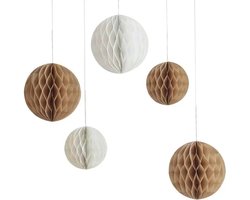 Teddy Bear Honeycomb | Unisex | 5 stuks | Voor Gender Reveal en Babyshower