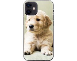 Telefoonhoesje Geschikt voor iPhone 12 hoesje - Golden Retriever puppy liggend op de bank - Siliconen Telefoonhoesje Telefoonhoesje