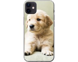 Telefoonhoesje Geschikt voor iPhone 12 mini hoesje - Golden Retriever puppy liggend op de bank - Siliconen Telefoonhoesje Telefoonhoesje