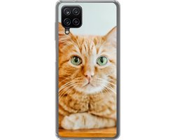 Telefoonhoesje Geschikt voor Samsung Galaxy A12 hoesje - Kat - Hout - Kast - Siliconen Telefoonhoesje Telefoonhoesje