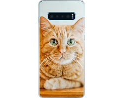 Telefoonhoesje Geschikt voor Samsung Galaxy S10 Plus hoesje - Kat - Hout - Kast - Siliconen Telefoonhoesje Telefoonhoesje