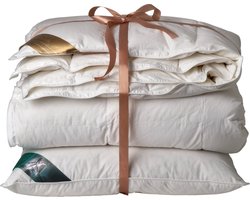 Ten Cate Dekbed - Dekbed 140 x 220 - dekbedden - 4 seizoenen dekbed - 90% ganzendons - inclusief eendenveren hoofdkussen