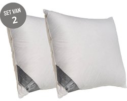 Ten Cate Hoofdkussen - Hoofdkussen Nekklachten - Eendendons & Eendenveren - DoubleFace - Zacht & Hard - 2 Hardheden - Geschikt voor rug-, zij- en buikslapers - Ergonomisch Hoofdkussen - 60x70 cm - 2 stuks