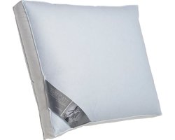 Ten Cate Hoofdkussen - Hoofdkussen Nekklachten - Eendendons & Eendenveren - Driekamer - Hoofdkussens - Geschikt voor rug-, zij- en buikslapers - Ergonomisch Boxkussen - 50x60 cm