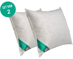 Ten Cate Hoofdkussen - Hoofdkussen Nekklachten - Kussen set van 2 - Eendenveren - Hoofdkussens - Geschikt voor rug-, zij- en buikslapers - Ergonomisch Kussen - 60x70 cm - 2 pack