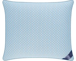 Ten Cate Hoofdkussen - Kussens - Hoofdkussen Nekklachten - Geschikt voor rug-, zij- en buikslapers- Airpillow - Memory Foam - Traagschuim - 60x70 cm