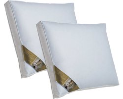 Ten Cate Hoofdkussen - Nekklachten - Ganzendons & Ganzenveren - Driekamer - Geschikt voor rug-, zij- en buikslapers - Ergonomisch - 50x60 cm - 2 stuks