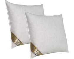 Ten Cate Hoofdkussen - Nekklachten - Ganzendons & Ganzenveren - Driekamer - Geschikt voor rug-, zij- en buikslapers - Ergonomisch Kussen - 60x70 cm - 2 stuks