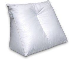 Ten Cate Leeskussen - Rugkussen bed - Bookseat - Zitkussen bed - Rugkussen onderrug voor bank - 55x65x30 cm