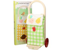 Tender Toys Boodschappentrolley groen/wit Junior 29 X 24 X 63 Cm