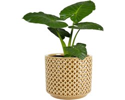 Ter Steege Plantenpot/bloempot Cairo - keramiek - mosterd geel - Oosters motief - D13 x H13 cm