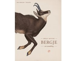 Terloops - Bergje