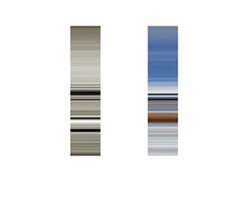 Terra Nova