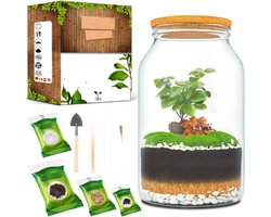 Terrarium Set XL – Doe-Het-Zelf Set Met Grote Glazen Container 4L – Gesloten Ecosysteem Zonder Plant – Voor Eeuwige Tuin – DIY Planten Terrarium – Glasdecoratie Voor Interieur