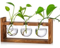 Terrarium vaas met houten rek voor groene waterplanten - Glazen plantenbak - Decoratieve bolvaas voor thuis, keuken en tafel