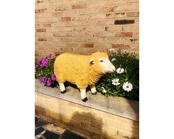Texel schaap staand kop vooruit 34 cm - polyresin - polystone - hoogkwalitatieve kunststof - decoratiefiguur - interieur - accessoire - voor binnen - voor buiten - cadeau - geschenk - tuinfiguur - tuinbeeld