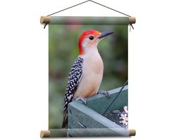 Textielposter - Opzijkijkende Roodbuikspecht Vogel op Houten Kistje - 30x40 cm Foto op Textiel
