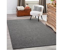 the carpet Grande Modern Pluizig Kortpolig Woonkamerkleed, Superzacht aanvoelend, Elegant en Onderhoudsvriendelijk, 080x150