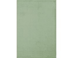 the carpet Marley Elegante Designer Vloerkleed, Zacht & Onderhoudsvriendelijk, Kortpolig, Woonkamer, Mintgroen, 60 x 110 cm