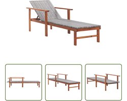 The Living Store Ligbed poly rattan en massief acaciahout grijs - Ligbed - Lounge Bed - Tuinset - Buitendecor - Garden Furniture