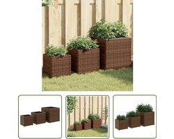 The Living Store Plantenbakken 3 st poly rattan bruin - Tuinplanten - Pottenbakkerij - Buitenschilderijen - Kunststof Planters - Polyrattan Meubelen