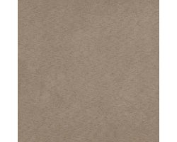 The Living Store Voetenbank - Taupe - 70 x 55 x 41 cm - Duurzame microvezel - Stevig en stabiel frame