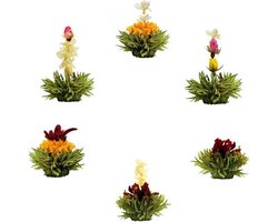 Theebloemen boeket groene thee - Bloementhee - Losse Theebloemen | 6 stuks