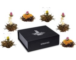 Theebloemen set in cadeauverpakking - Creano - Zwarte thee - 6 stuks professionele theebloemen