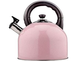 Theeketel Roestvrijstaal - Fluitketel Inductie - Water Koken - Automatisch Fluit Signaal - 4.4 Liter - Zilver