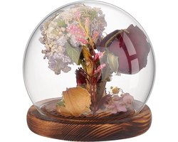 TheLau - Glazen koepel wereldbol display houten sokkel decoratieve vitrine planten bloemen steen modellen vlinder 12 x 11,5 cm