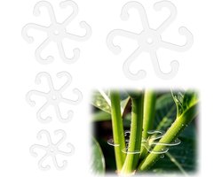 TheLau - Plantenstengelondersteuning Set van 4 - Voor Binnen & Buiten Kamerplanten met Gaten, Acryl Plantenrek, Monstera Bladhouder, Klimrek - 4 Maten, Transparant