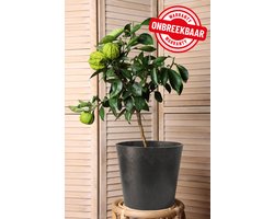 TierraVerde Kunststof Bloempot Rond – Ø 30 cm x H 28 cm – Voor binnen en buiten – Zwart – Eco-Friendly en Duurzame Bloembak/Plantenpot – 100% Gerecycleerd Rubber