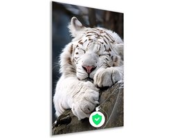 Tijger poster - Dier poster - Wanddecoratie Steen - Muurdecoratie industrieel - Slaapkamer poster - Decoratie slaapkamer poster 40x60 cm