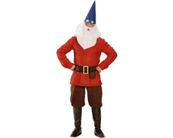 Titel: Rode dwerg kabouter kostuum