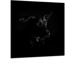 TMK ArtDeko - Glazen Keukenpaneel - 60x65 cm - Pies - Veilig en Praktisch