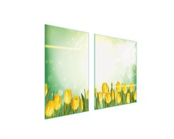 TMK ArtDeko Tulpen Serie - Glazen Snijplank - 100x52cm - Beschermende Kookplaat - Meerkleurig
