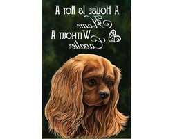 TNND Cavalier King Charles Spaniel Ruby Rode Cavalier Hond Decor Poster Wall Art Decor Metalen Bord Poster 8 x 12 inch
