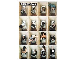 Toilet Cam Poster 61x91,5 cm met Transparante Ophangstangen