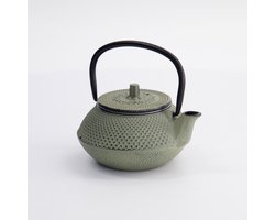 Tokyo Design Studio - Arare Theepot - Grijsgroen - 350 ml - Gietijzerlook