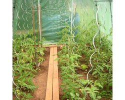 Tomatenspiralen 10 stuks gegalvaniseerd staal