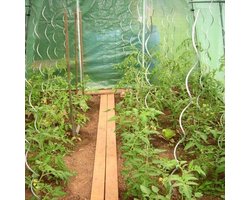 Tomatenspiralen - set van 10 stuks