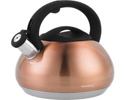 Top Choice - fluitketel - 2,7L - rvs - alle warmtebronnen