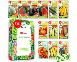 Toraf Zaden Set 12 Soorten 500 Zaden XXXL Tomaat, Courgette, Pompoen, Meloen Voor Kas & Tuin Moestuin Zaaigoed Set